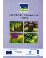 Կաղամբազգի մշակաբույսեր․ ուղեցույց