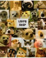 Տետր Դա Վինչի, Լուրջ տետր, տողանի