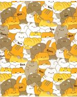 Տետր Դա Վինչի Մյաու, վանդակ