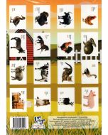 Ուսուցողական քարտեր․ Ընտանի կենդանիներ