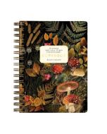 Тетрадь на гребне Альт А6 60л. клетка  Bruno Visconti "Flora" Эльфийский лес