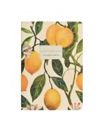 Тетрадь Альт А6 32л. линия Bruno Visconti "Flora Paradise Lemons"