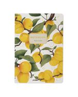 Тетрадь Альт А5 40л. клетка Bruno Visconti "Flora Paradise абрикосы"