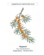 Բացիկ Armenian botanigals. ԼիլԱր 
