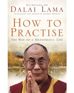 Dalai Lama: How To Practice