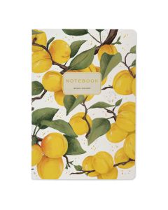 Тетрадь Альт А5 40л. клетка Bruno Visconti "Flora Paradise абрикосы"